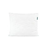 Aloe Vera Kissen 50x60cm Wendre